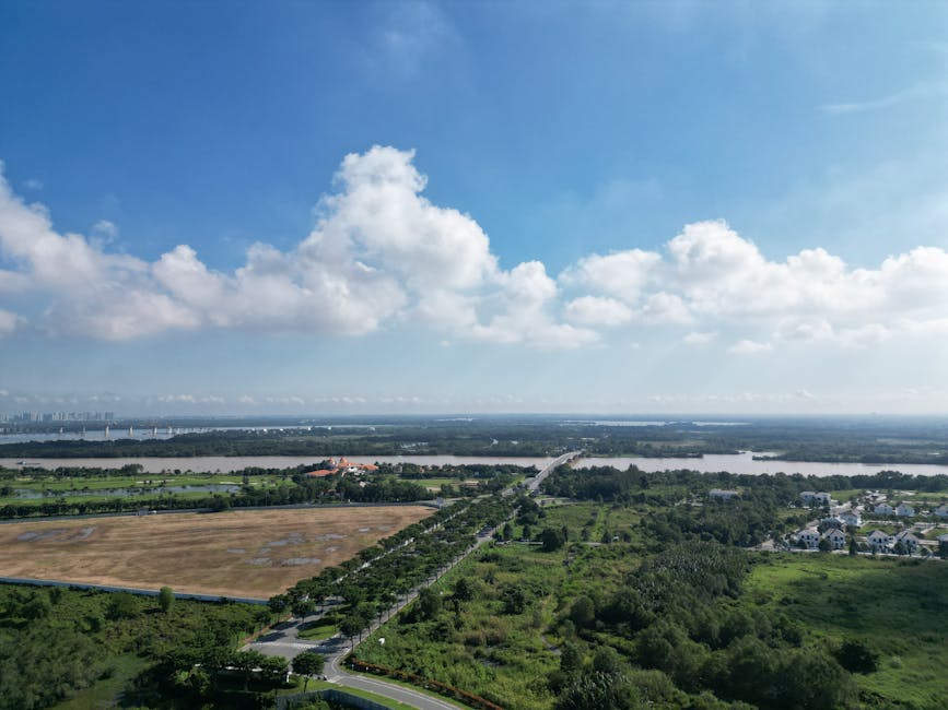 Why Could could beyond meat stock Be Underrated Right Now?