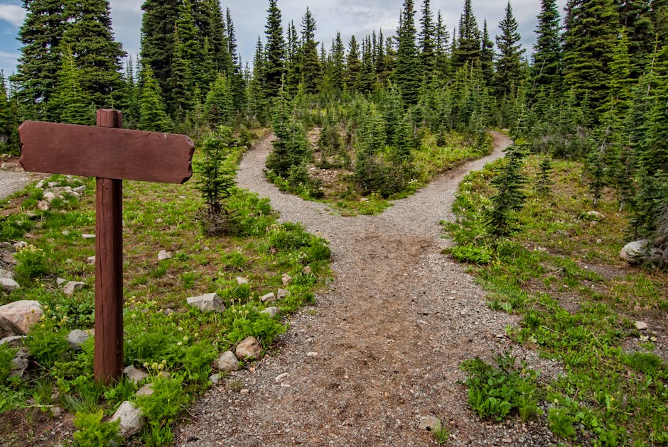 Two paths, two futures for federal finances