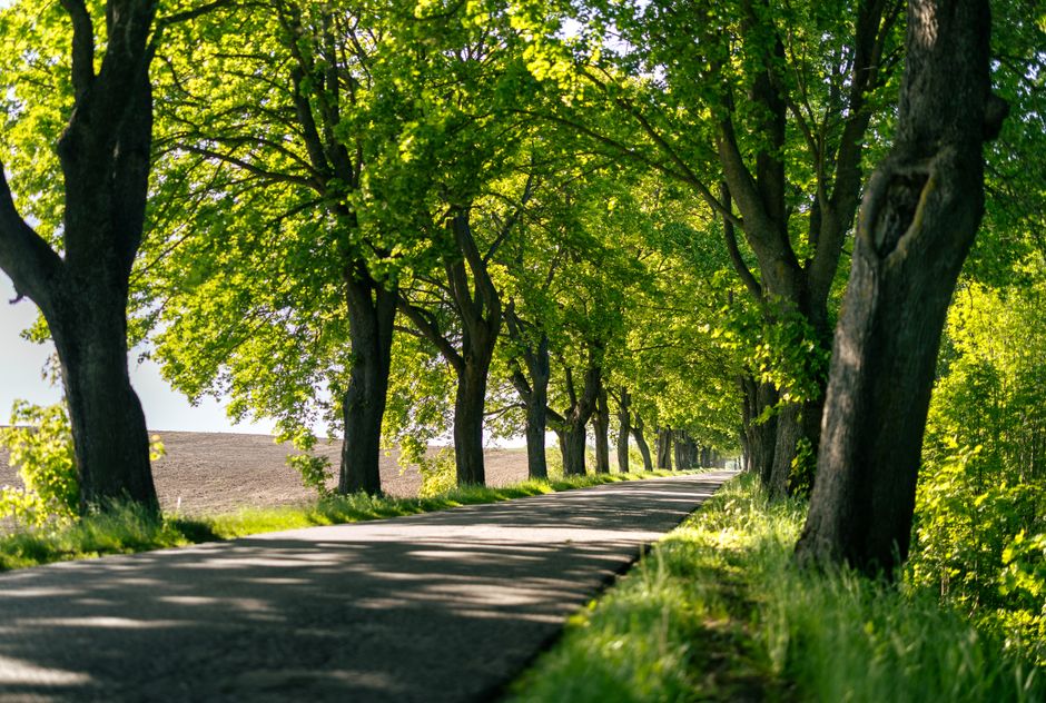Investors, markets, and the path forward