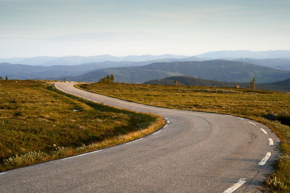 Investor Sentiment and the Road Ahead