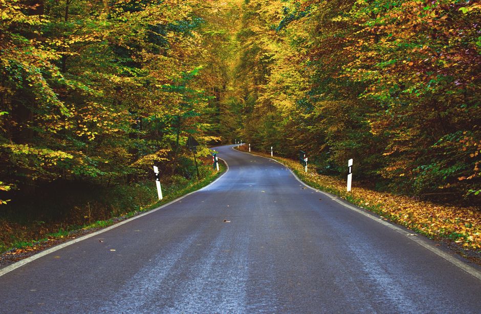 Investor Sentiment and the Road Ahead