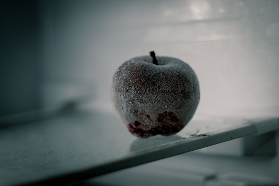 What Happens After a Freeze: The Investigation Path