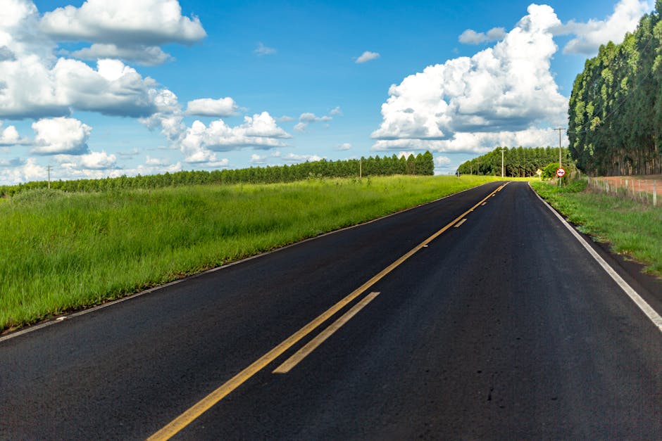 Risks, Skepticism, and the Road Ahead