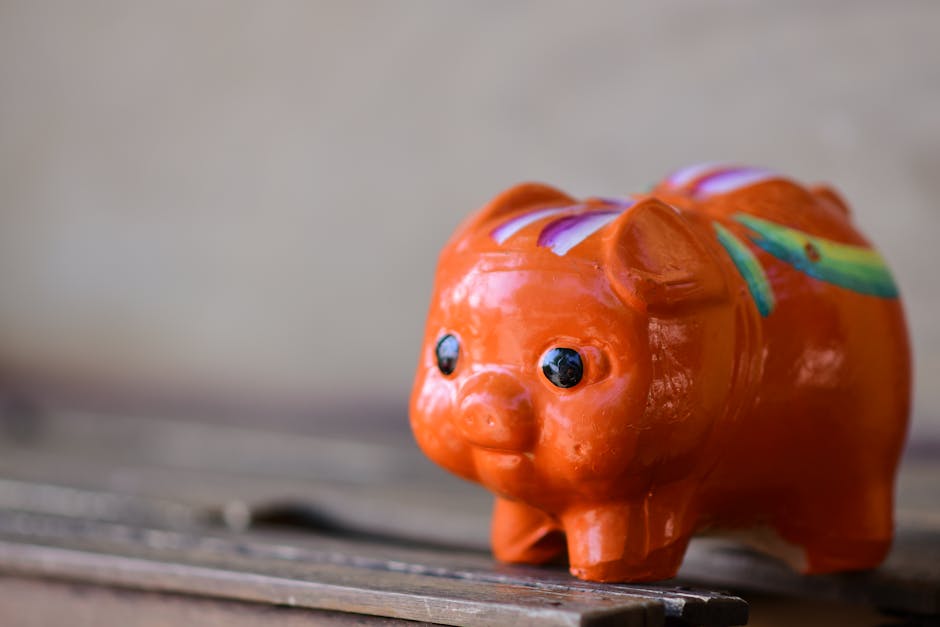 Explainer Box: In Plain Language