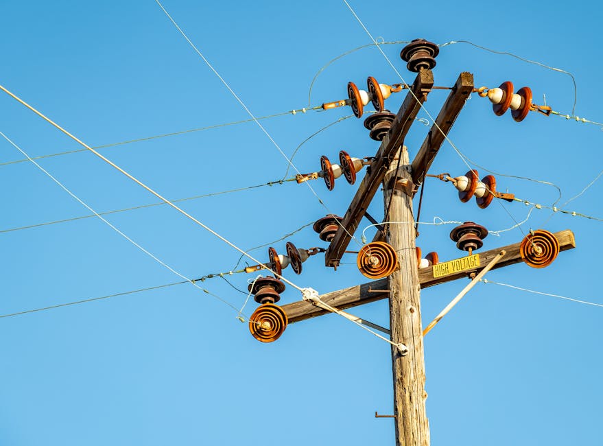 Bottom Line: A Day-to-Day View of the Energy Landscape