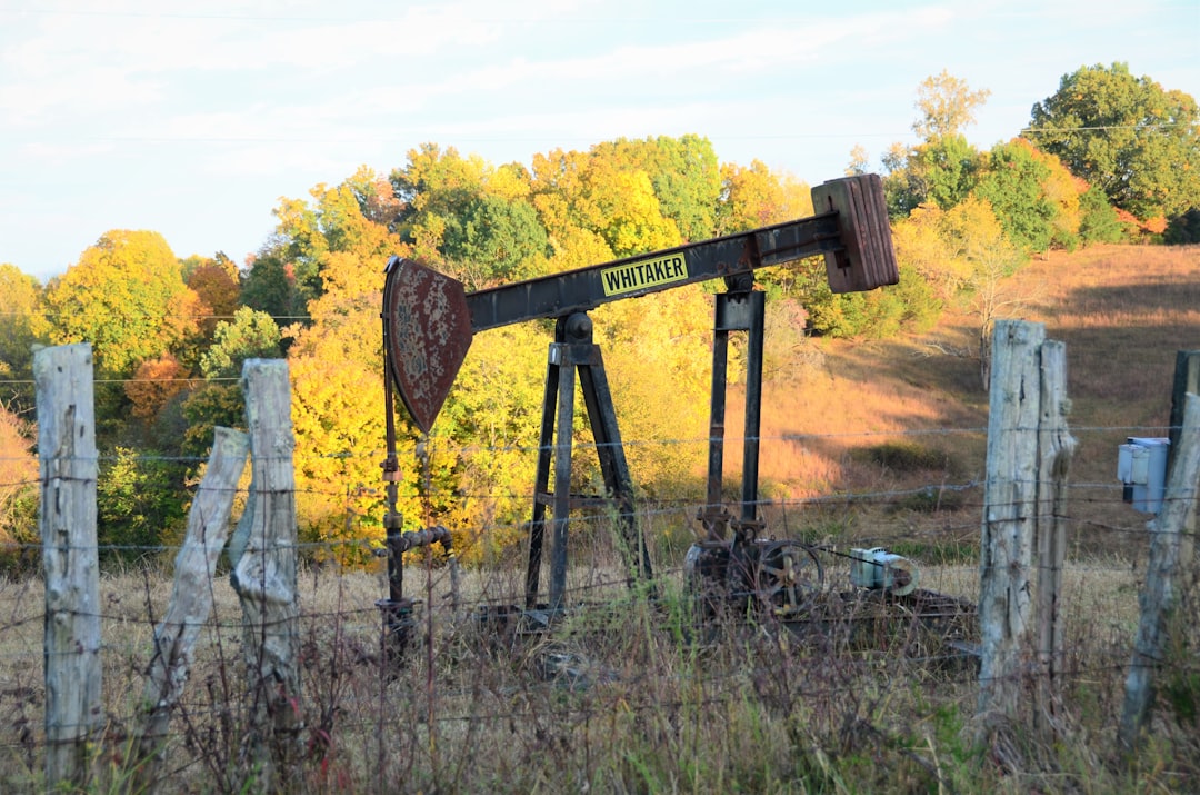 Linkages: Oil, Natural Gas, and the Energy Complex