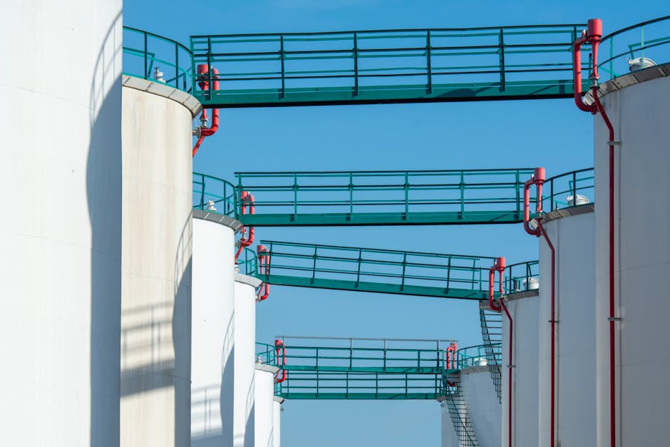 The Strategic Petroleum Reserve and Market Shielding