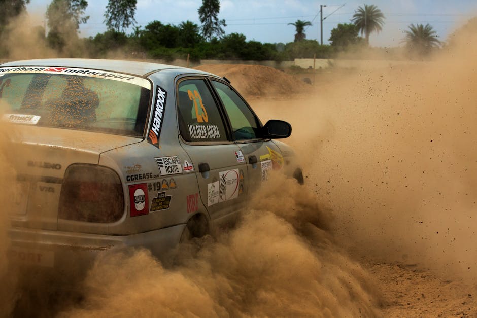 What Is Driving the Rally?
