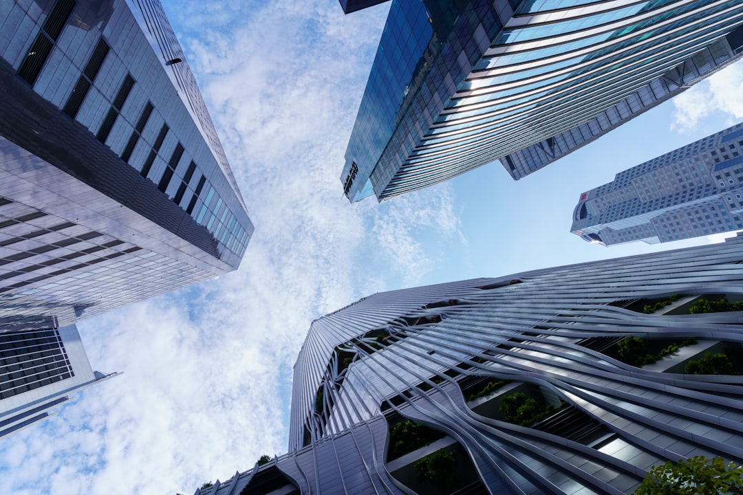 Implications for different investor profiles