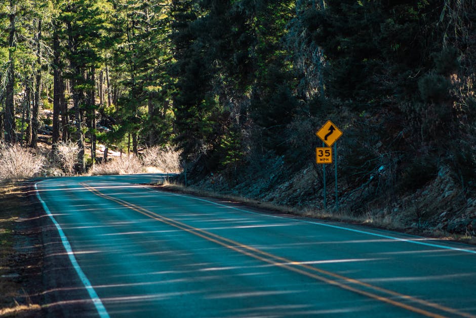 Risks, Tradeoffs, and the Road Ahead