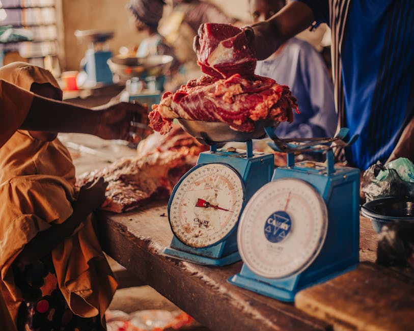 Timeline, Scale, and Local Impact