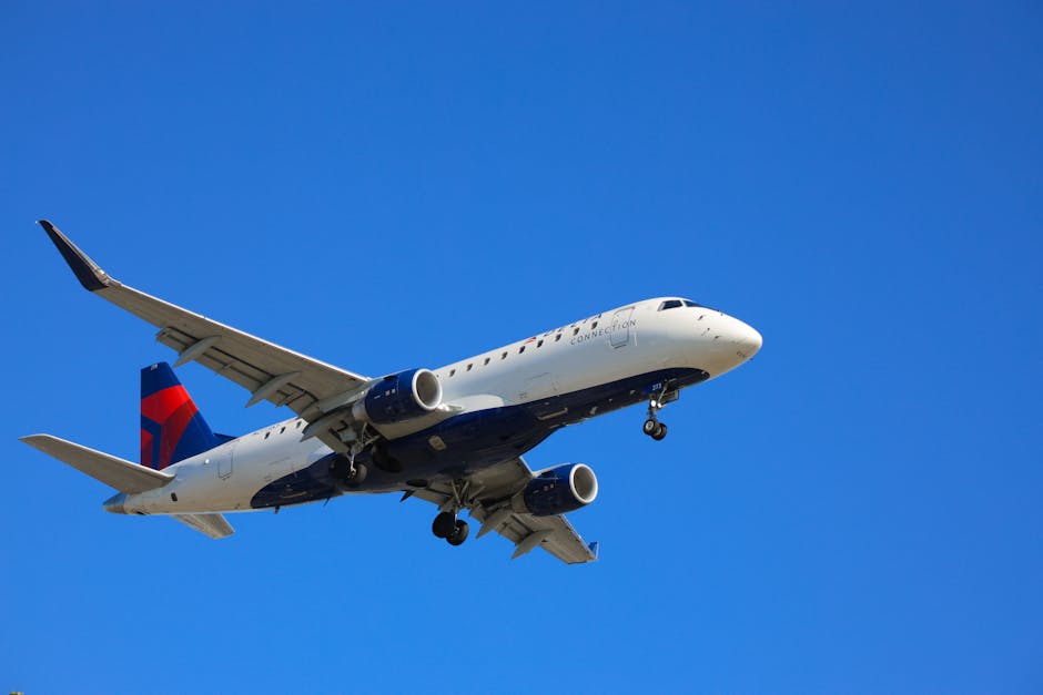 delta expects halt flights — What This Means For Travelers