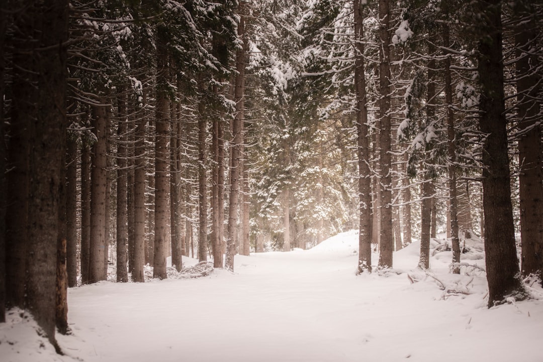 Seven Practical Steps to Win in Winter Deals