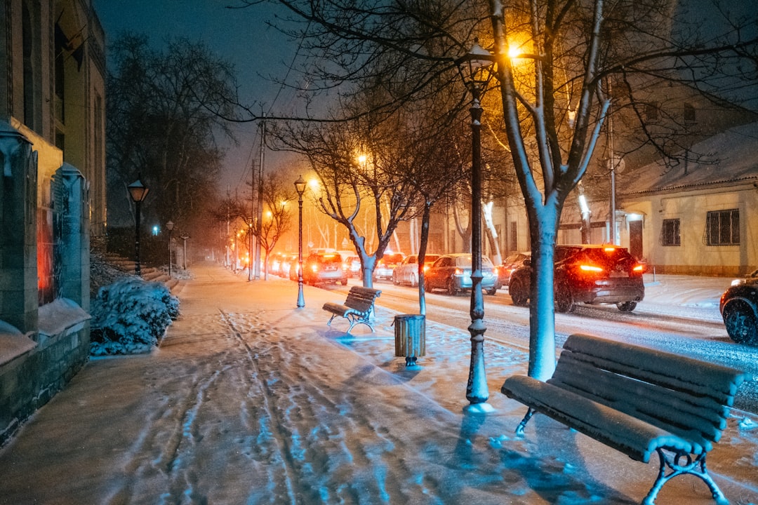 Real-World Scenario: Planning Your Winter Purchase