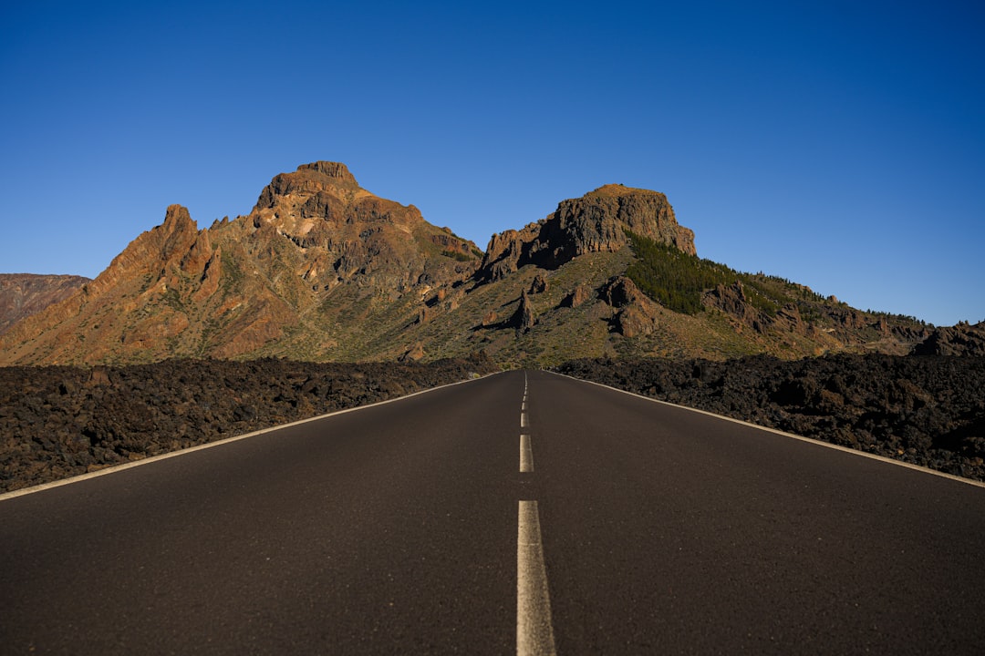 The road ahead