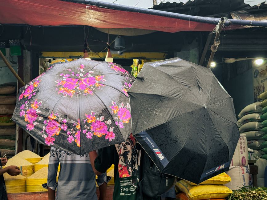 Macro Backdrop: Why the Shelter Feels More Urgent in 2026