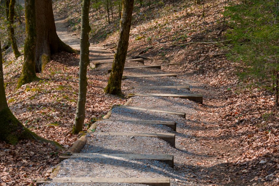 The Fed Path: Hold, Pause, or Hike?