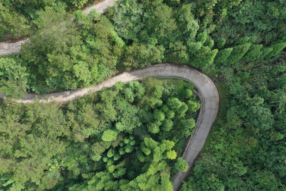 Conclusion: The Path To Sustainable 2026 Growth