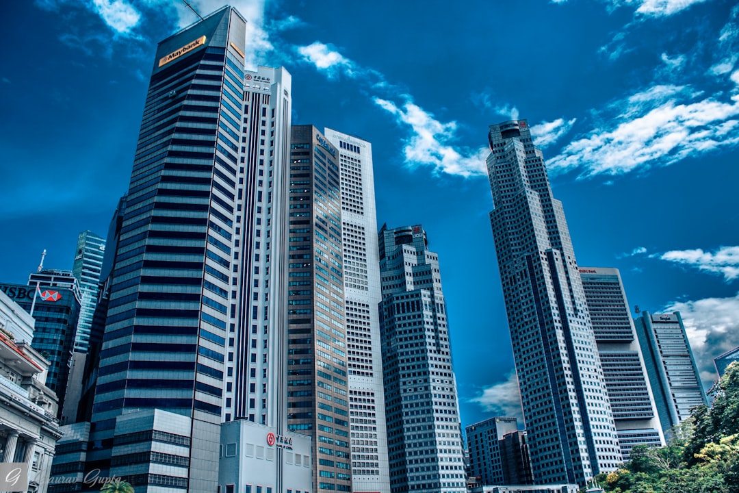 Real-World Scenarios: What Investors Often Do Next
