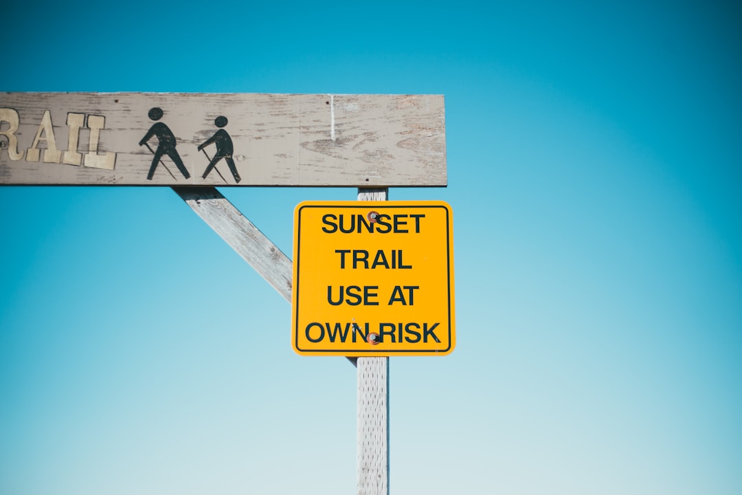 Risks to the Thesis: What Could Go Wrong With Disney's 2026 Film Slate