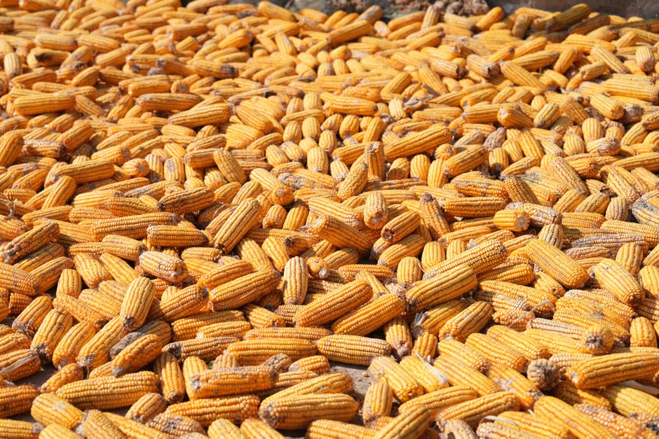 How Compounding Elevates Small Yields