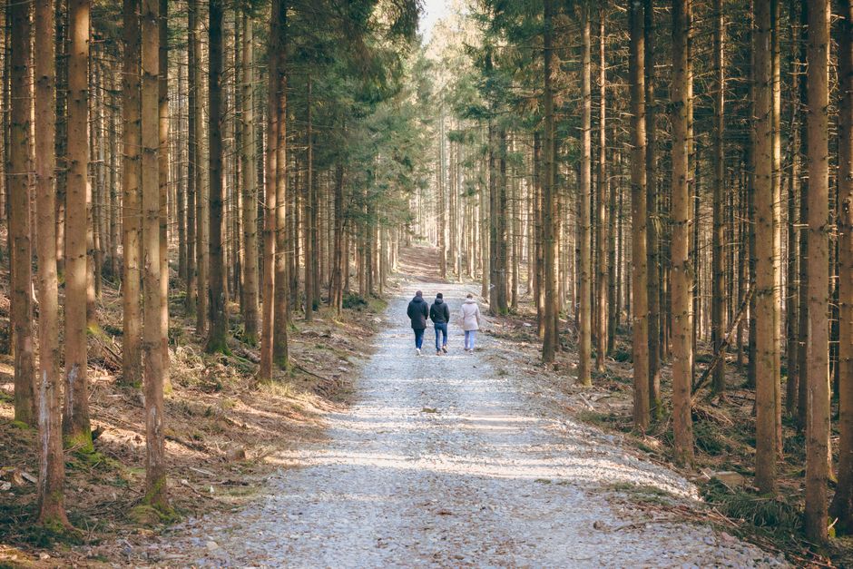 Three paths to sustained income