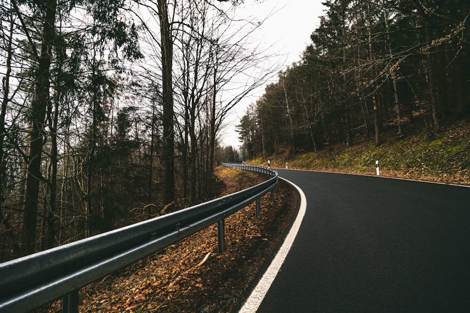 Risk Management and the Guardrails You Need