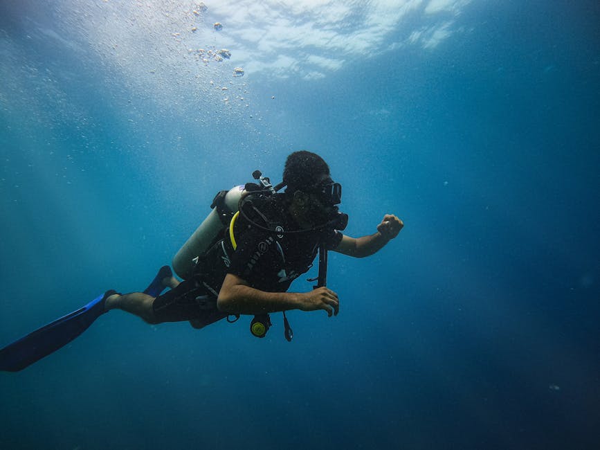 diving into josh d'amaro's focus on capital allocation