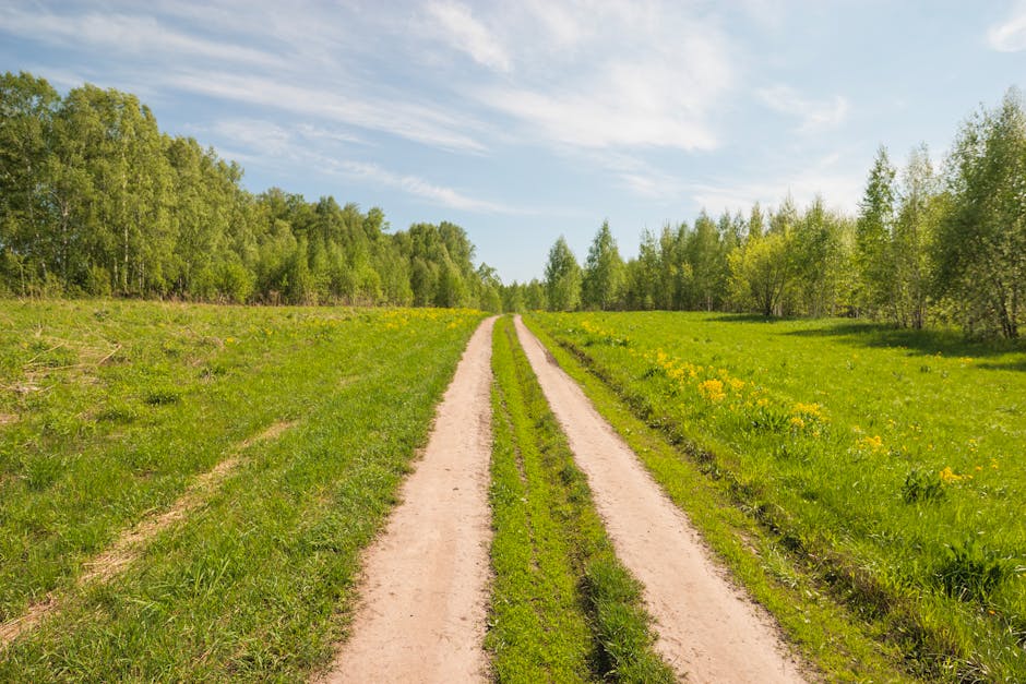 Bottom Line: The Path Forward