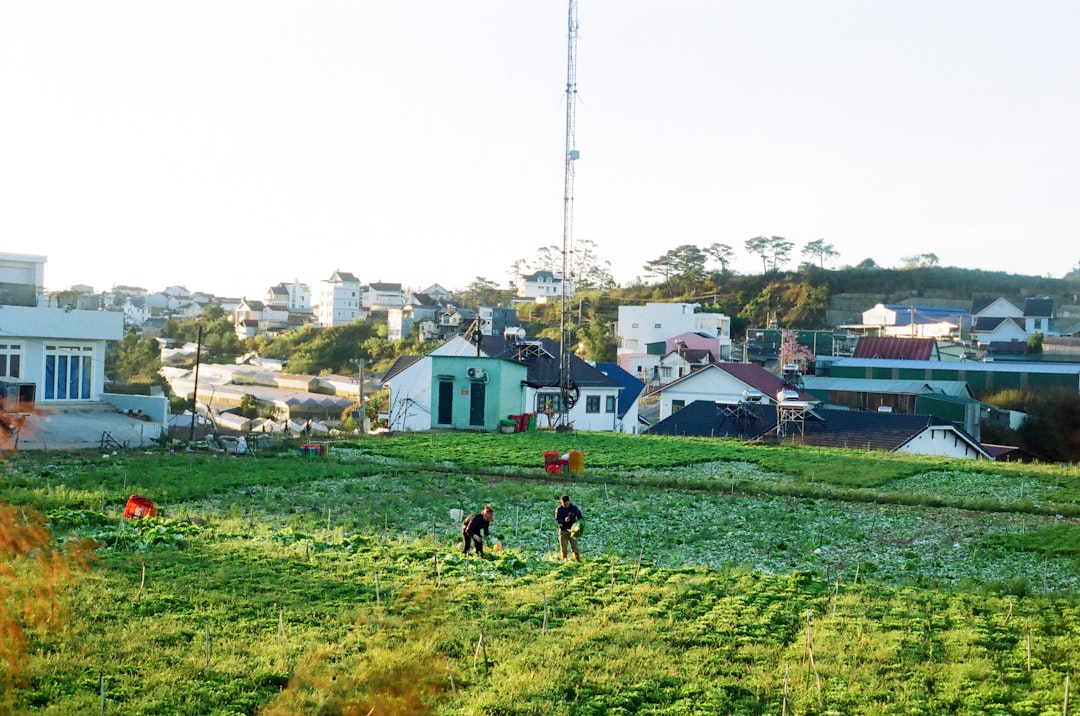 Community Impact and Future Plans