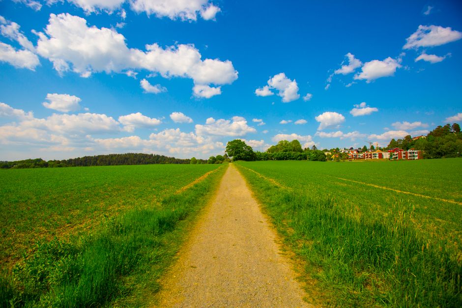 Stories from the field: real-world paths to independence
