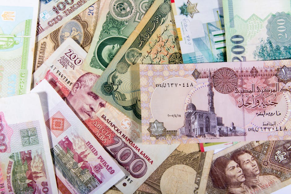 Policy Response and Market Momentum