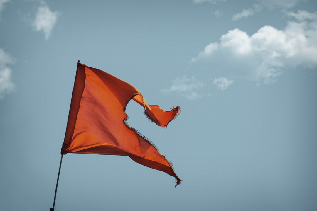 Risks and Red Flags to Consider