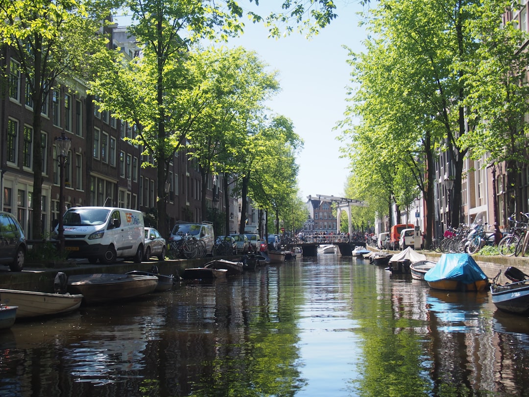 What This Means for Dutch Users and the Market