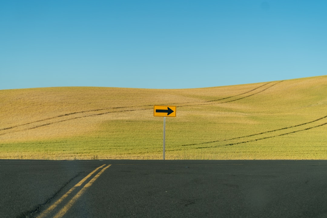 Looking Ahead: The Road After Q4