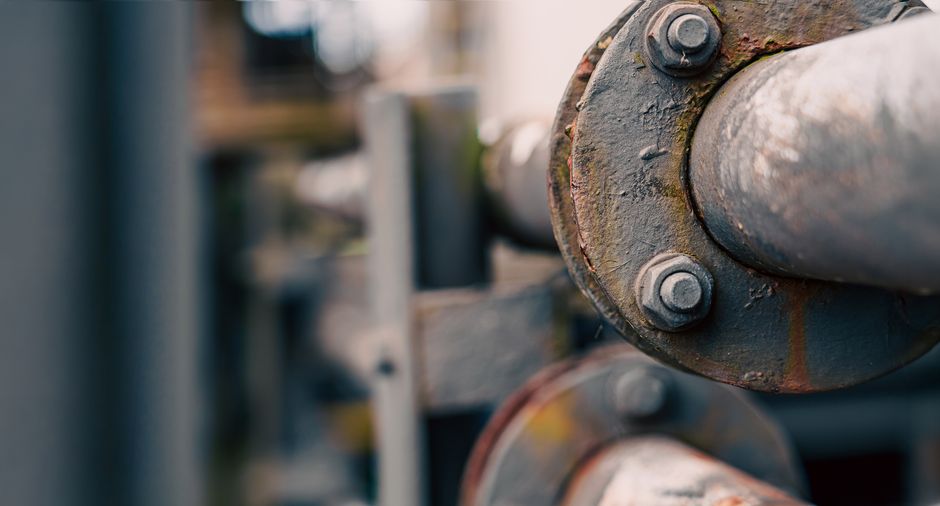 IPO Pipeline and the Risk of a Fast-Forward Cycle