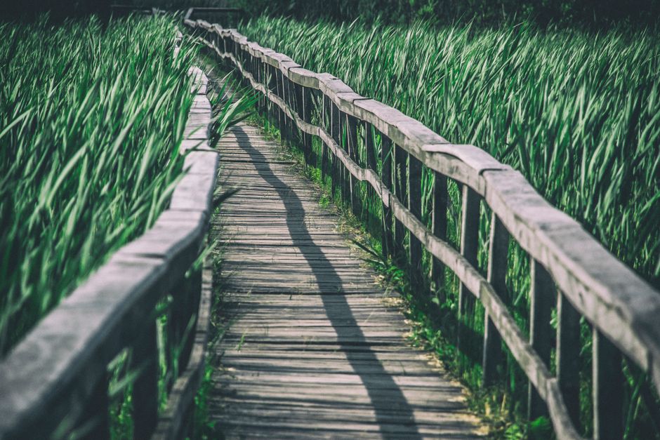 Pathways to Utility and Adoption