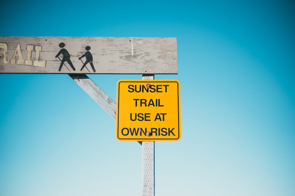 Risks and Roadmap: What Could Slow This Down?