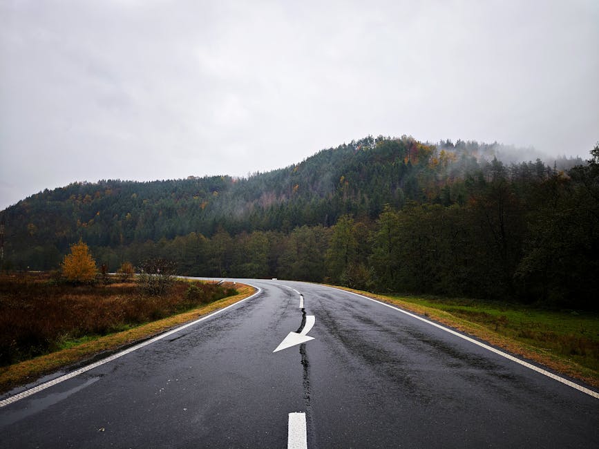 Market Context: The Road Ahead