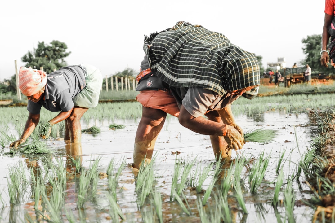 Market Context: A Post-Pandemic Labor Landscape