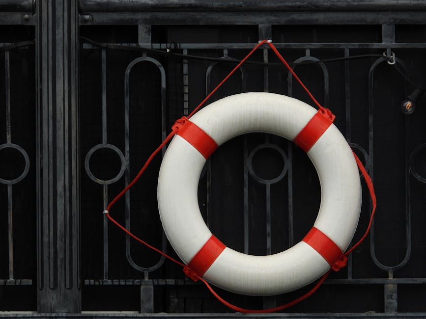 Insurance and Risk: A Safety Net Worth Focusing On