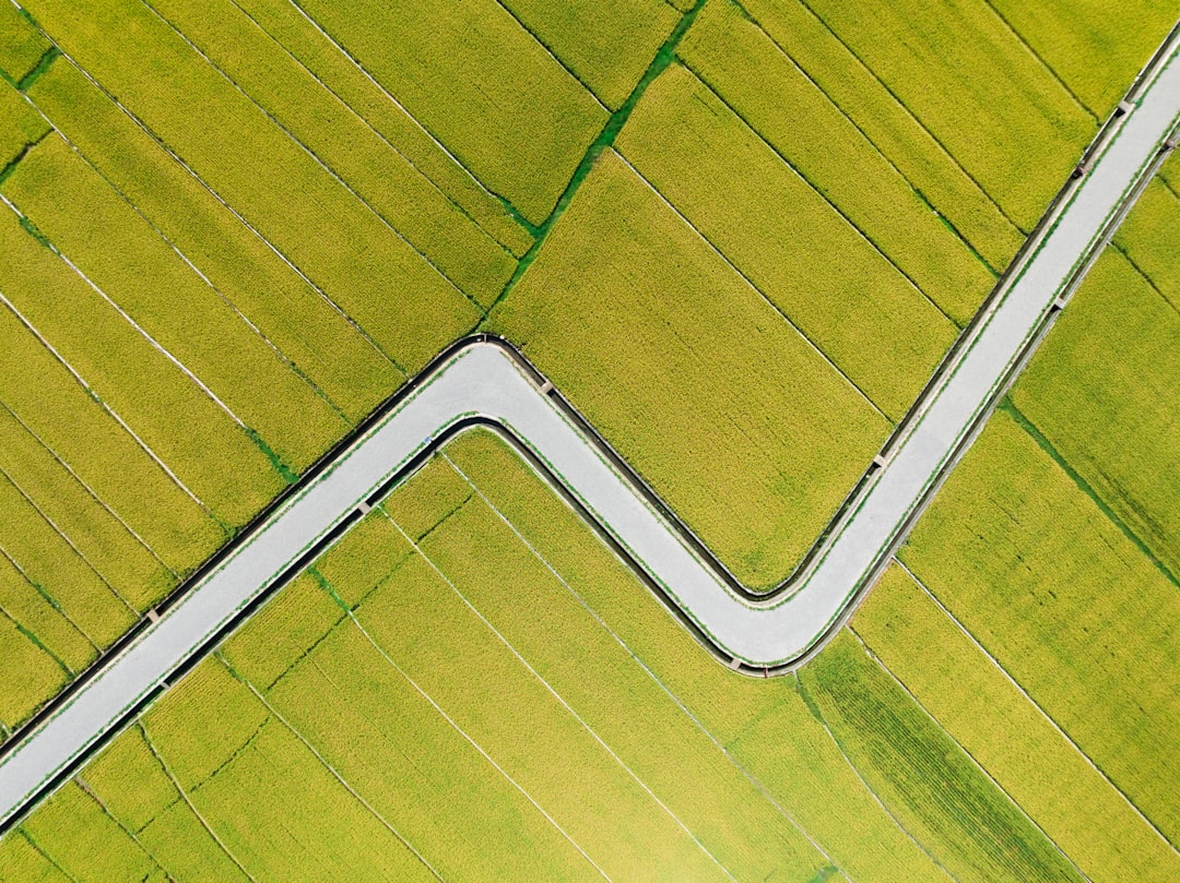 Two Paths, One Market Narrative