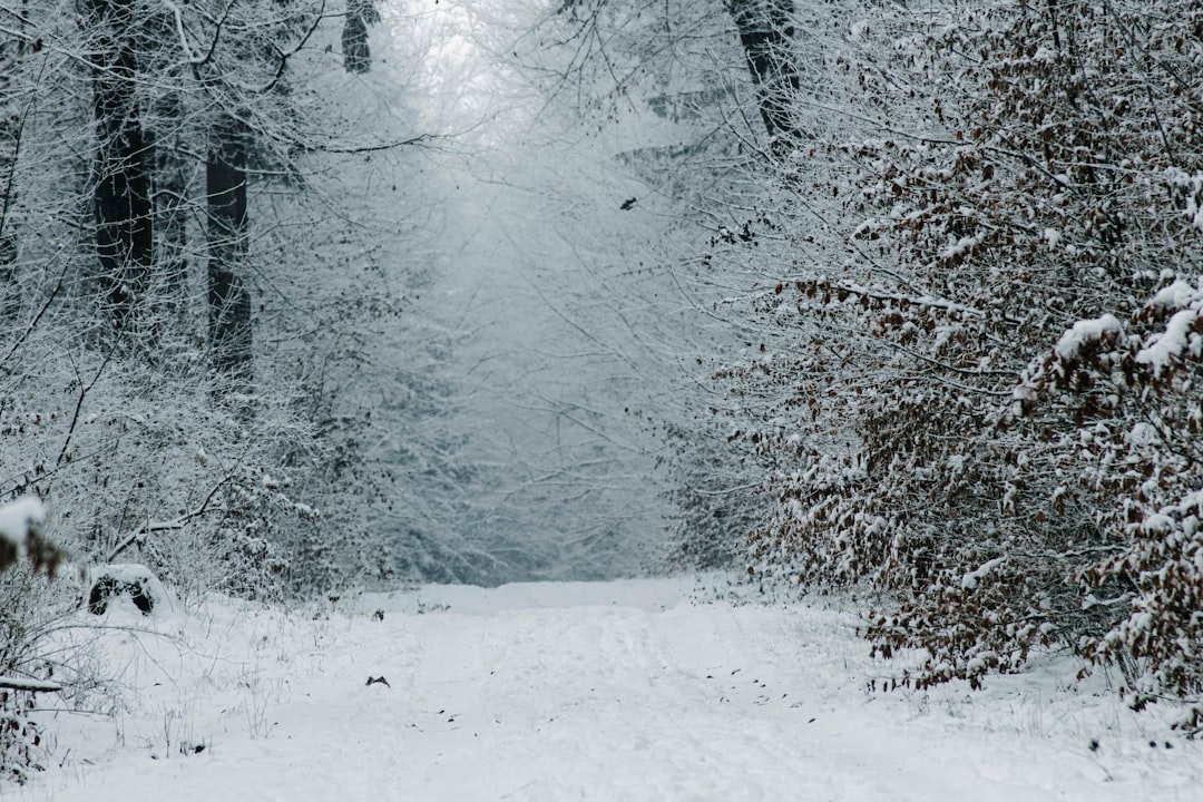 Seasonality, Signals, and a Cautionary Note