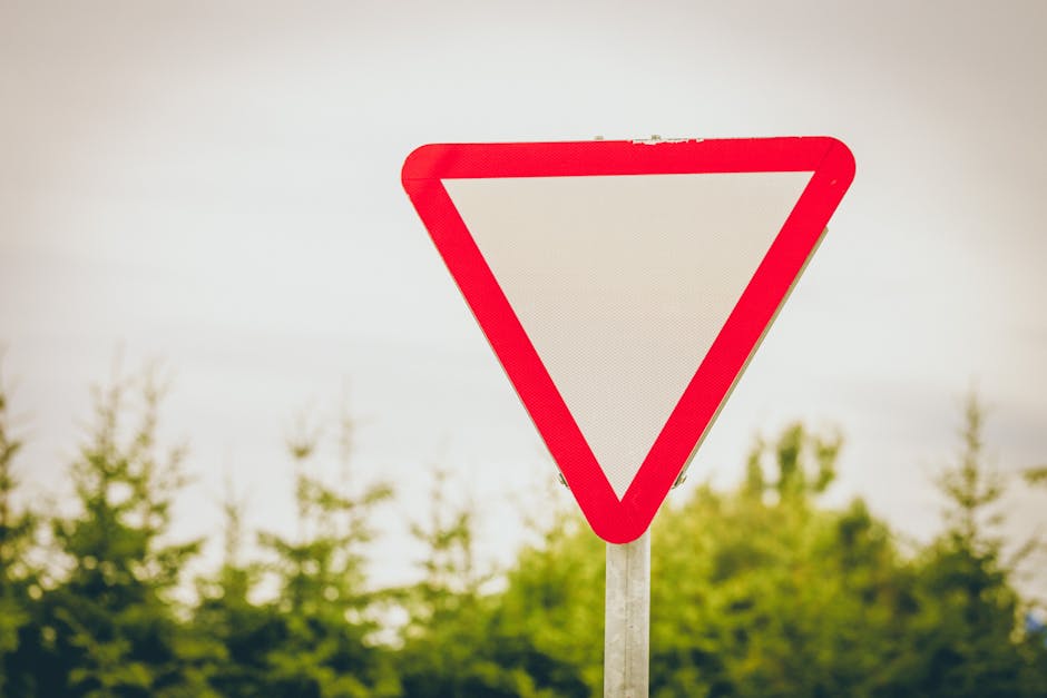 Bullish Signs and Cautions