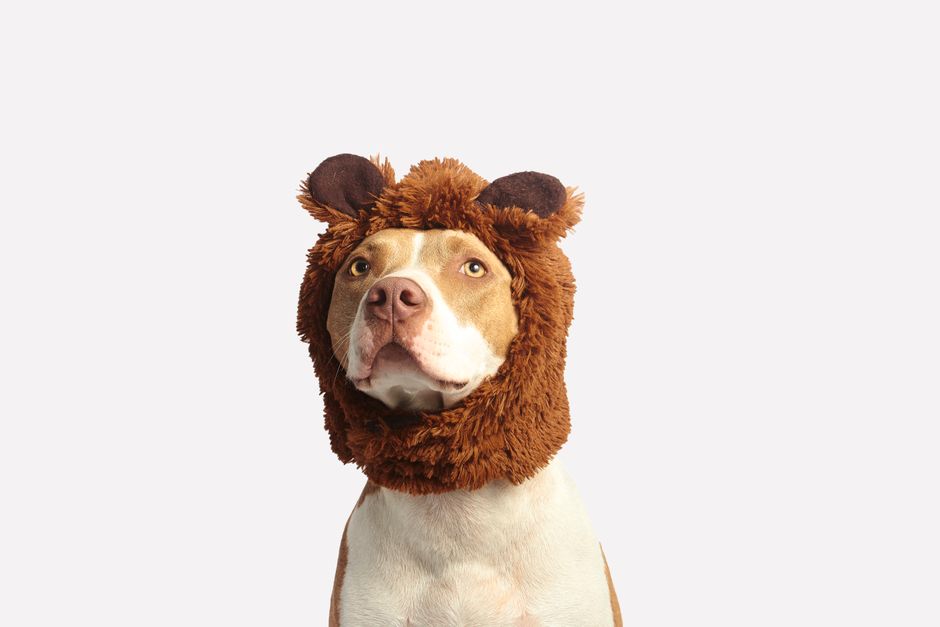 Other Viewpoints: Bulls vs Bears