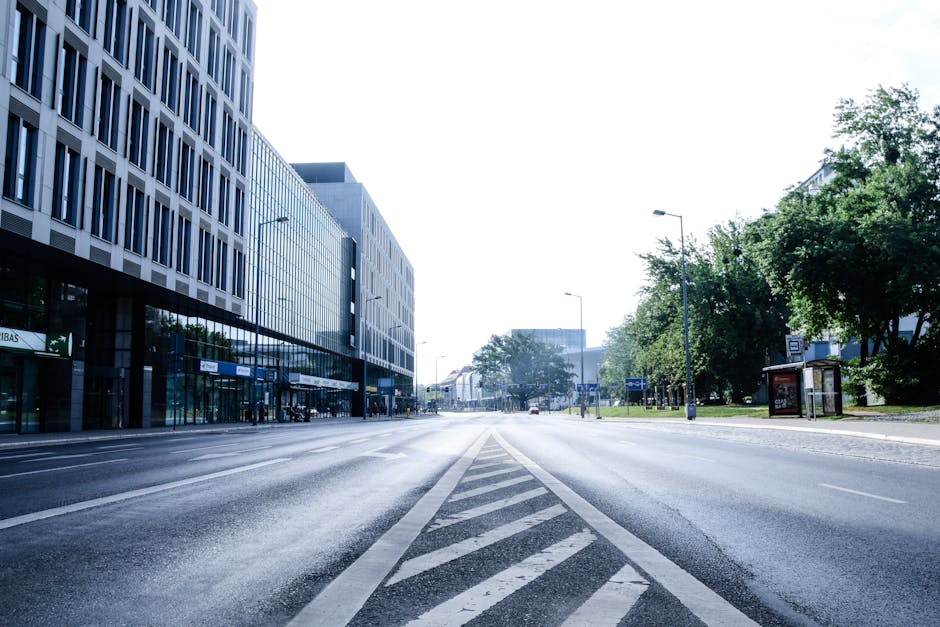 Regulatory Context and the Road Ahead