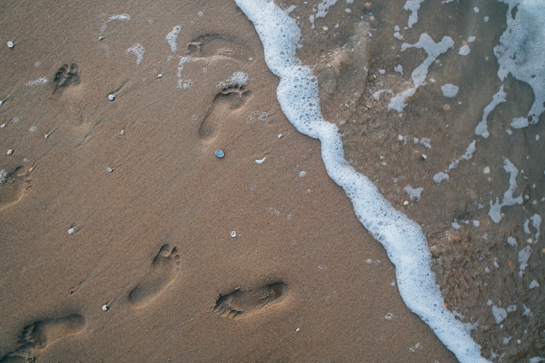 On-Chain Footprint By the Whales