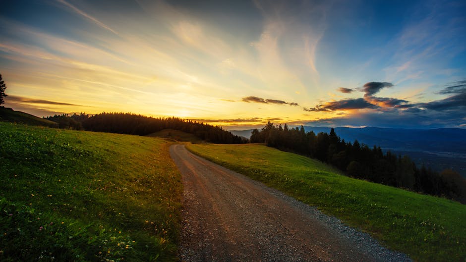 Key Catalysts Shaping the Path Ahead