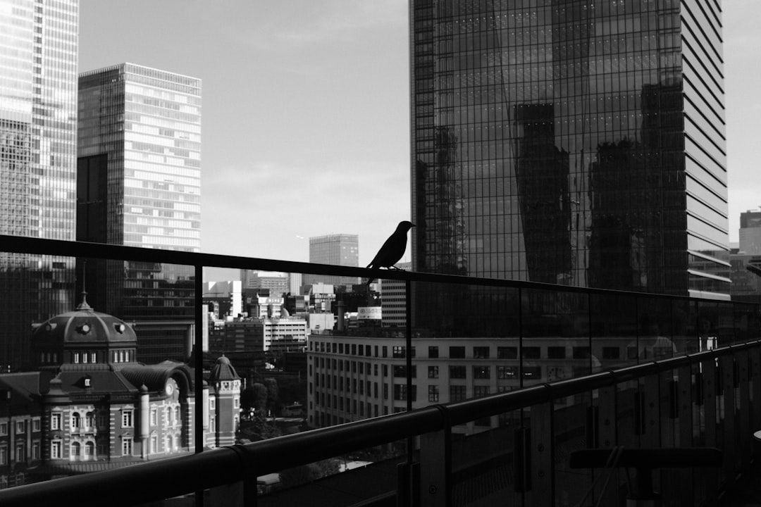 Macro Backdrop and Market Sentiment