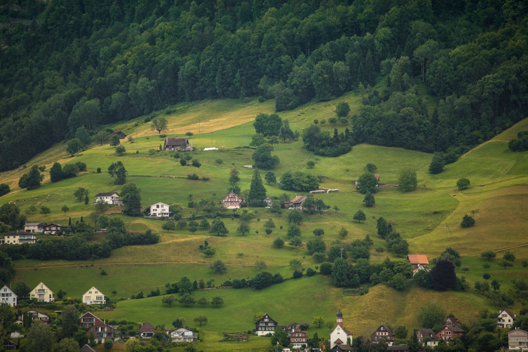 Competitive Landscape